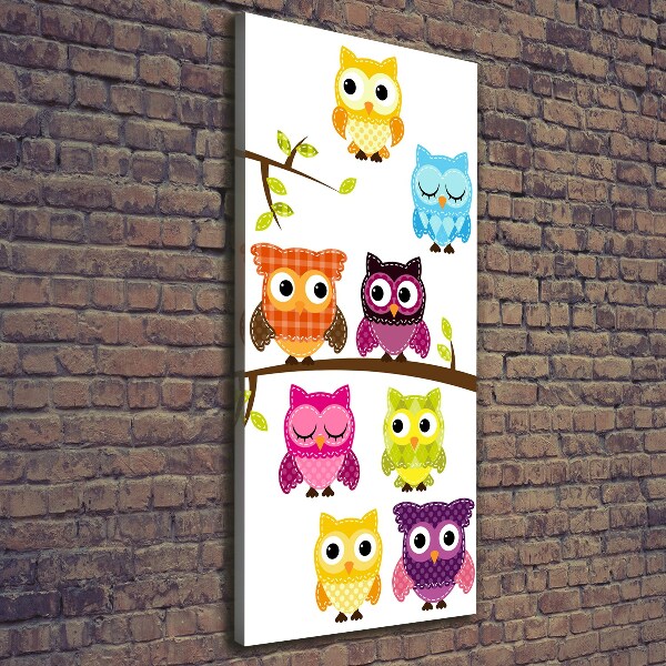 Canvas wall art Colorful owls