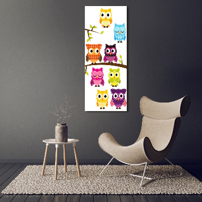 Canvas wall art Colorful owls