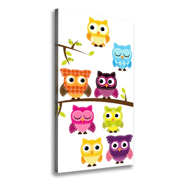 Canvas wall art Colorful owls