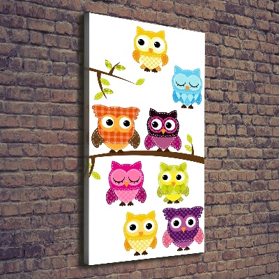 Canvas wall art Colorful owls