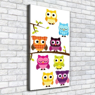 Canvas wall art Colorful owls