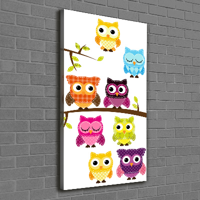 Canvas wall art Colorful owls