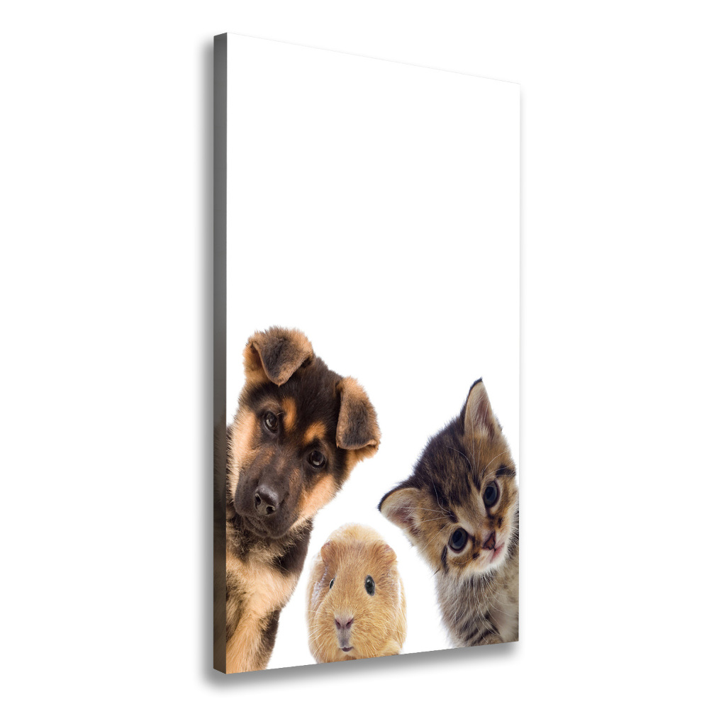 Canvas print Pets