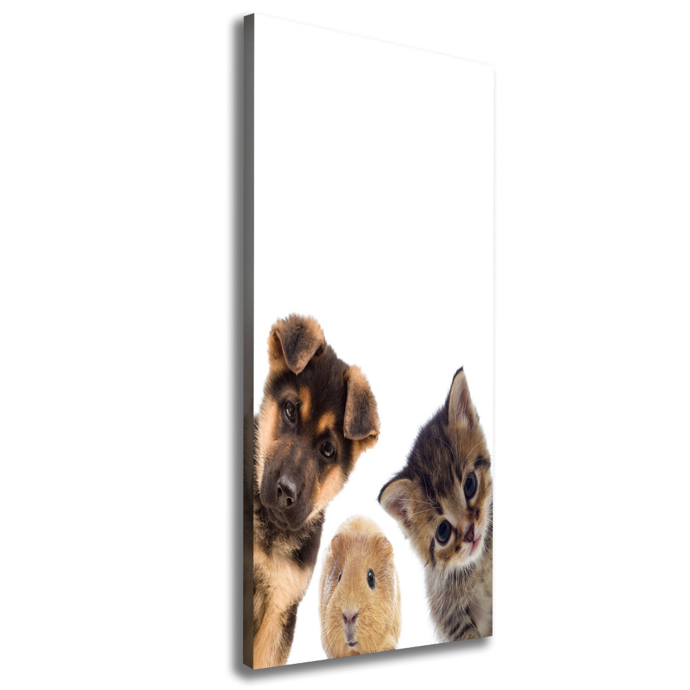 Canvas print Pets