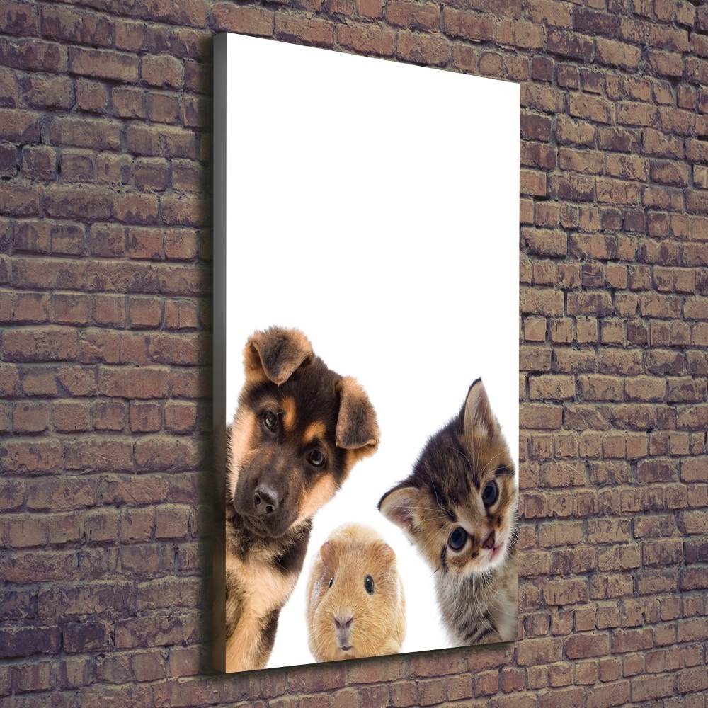 Canvas print Pets