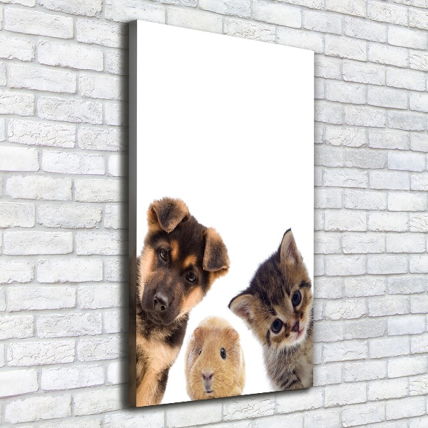 Canvas print Pets