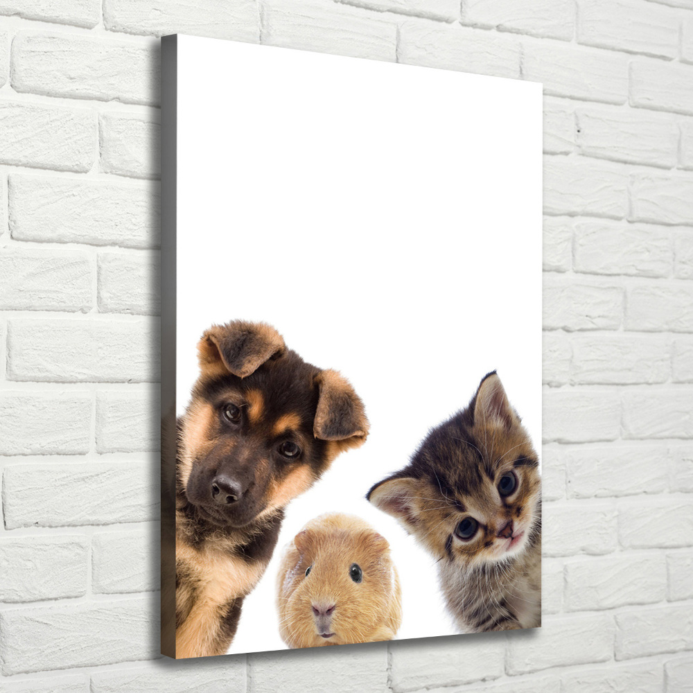 Canvas print Pets