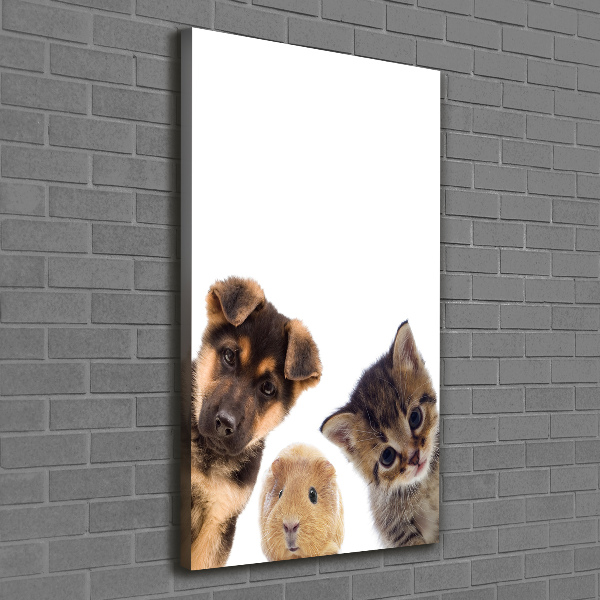 Canvas print Pets