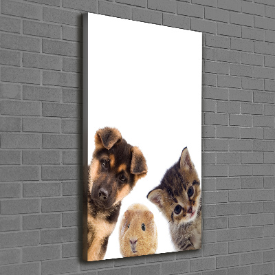 Canvas print Pets