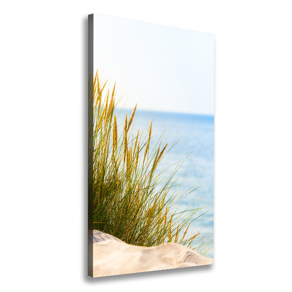 Canvas wall art Coastal dunes