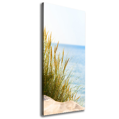 Canvas wall art Coastal dunes