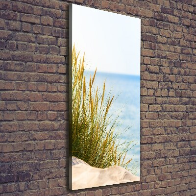 Canvas wall art Coastal dunes