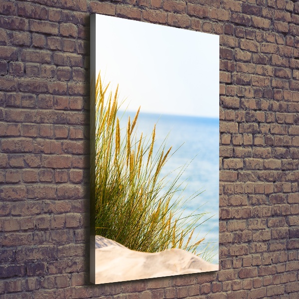 Canvas wall art Coastal dunes