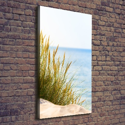 Canvas wall art Coastal dunes