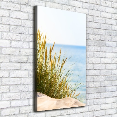 Canvas wall art Coastal dunes