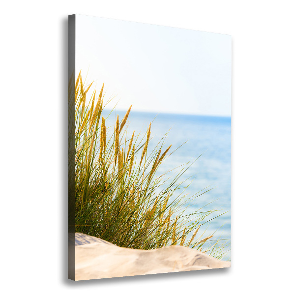 Canvas wall art Coastal dunes