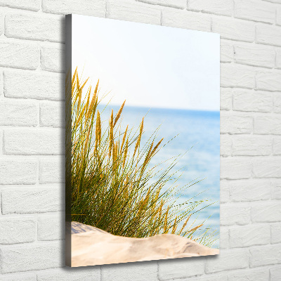 Canvas wall art Coastal dunes