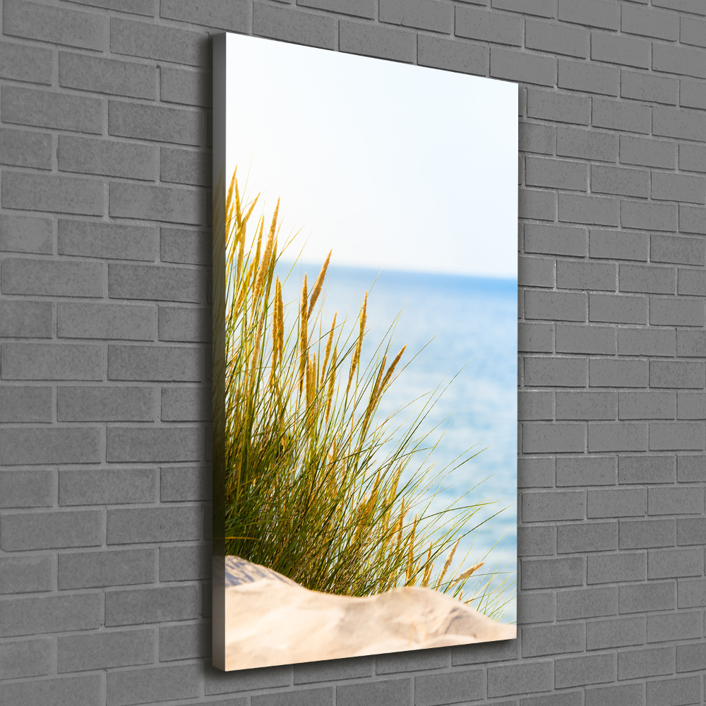 Canvas wall art Coastal dunes