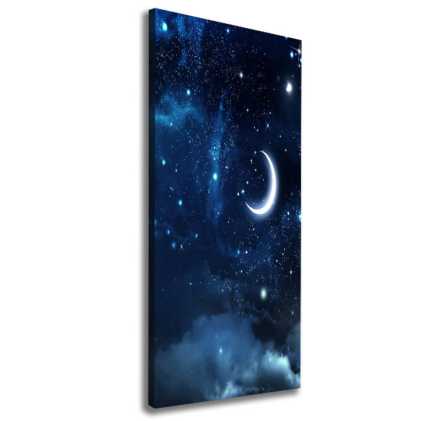 Canvas wall art Starry sky