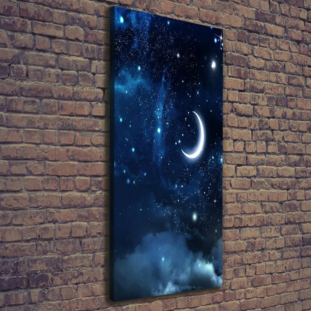 Canvas wall art Starry sky