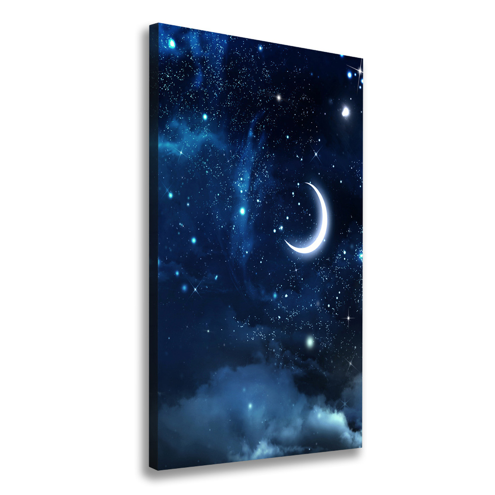 Canvas wall art Starry sky