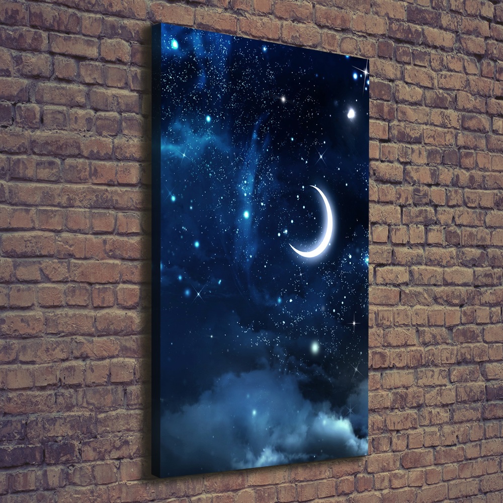 Canvas wall art Starry sky