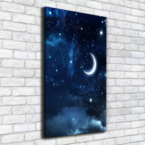 Canvas wall art Starry sky