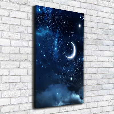 Canvas wall art Starry sky