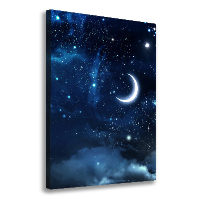 Canvas wall art Starry sky