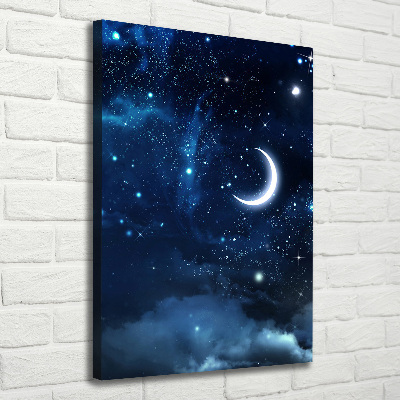 Canvas wall art Starry sky