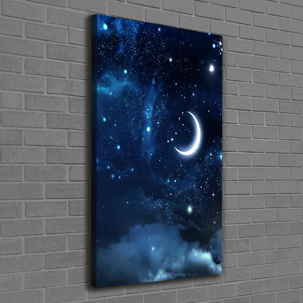 Canvas wall art Starry sky