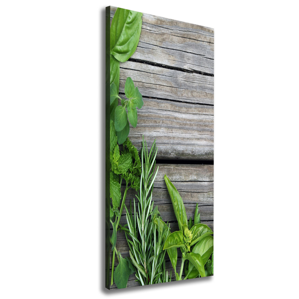 Wall canvas art Herbs on wood