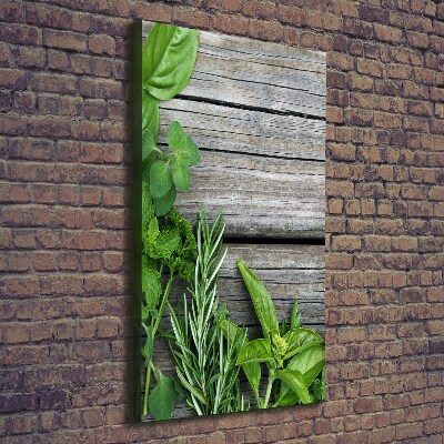 Wall canvas art Herbs on wood