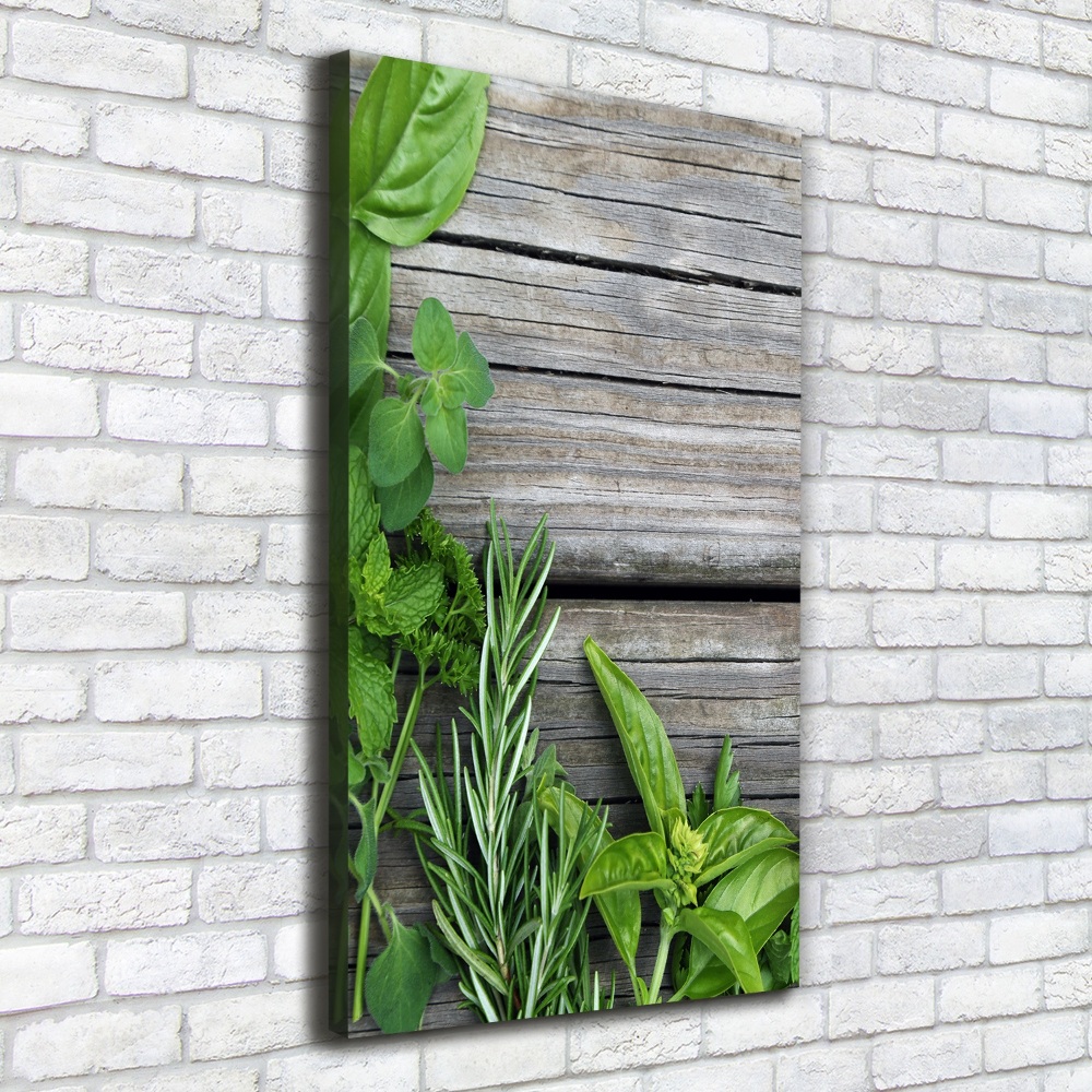 Wall canvas art Herbs on wood