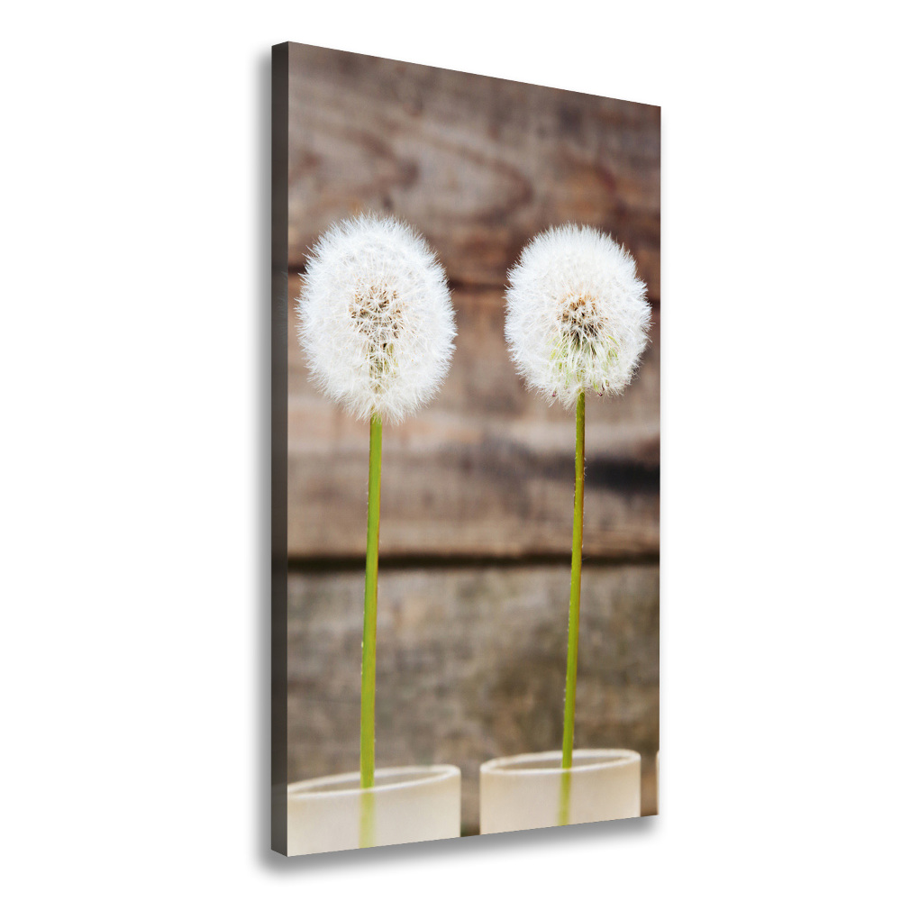 Canvas wall art dandelions