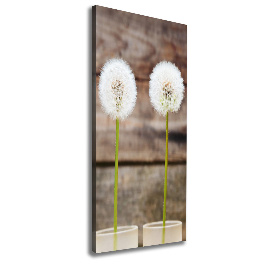 Canvas wall art dandelions