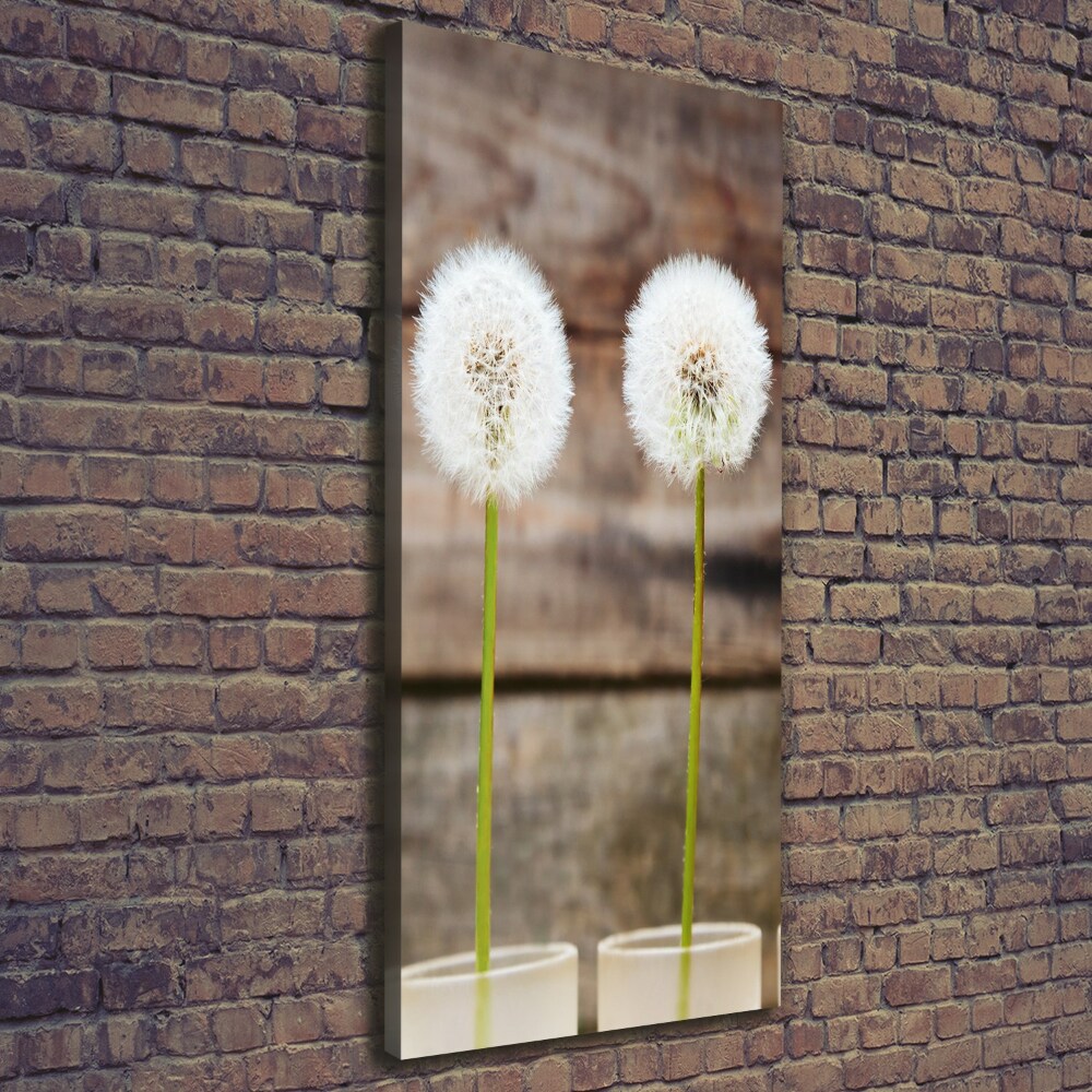 Canvas wall art dandelions