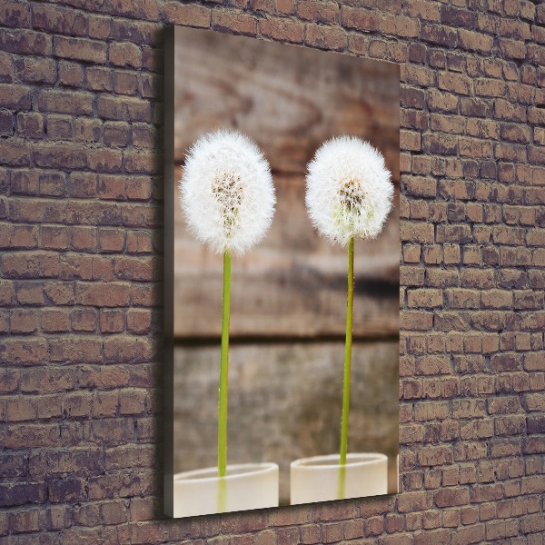 Canvas wall art dandelions