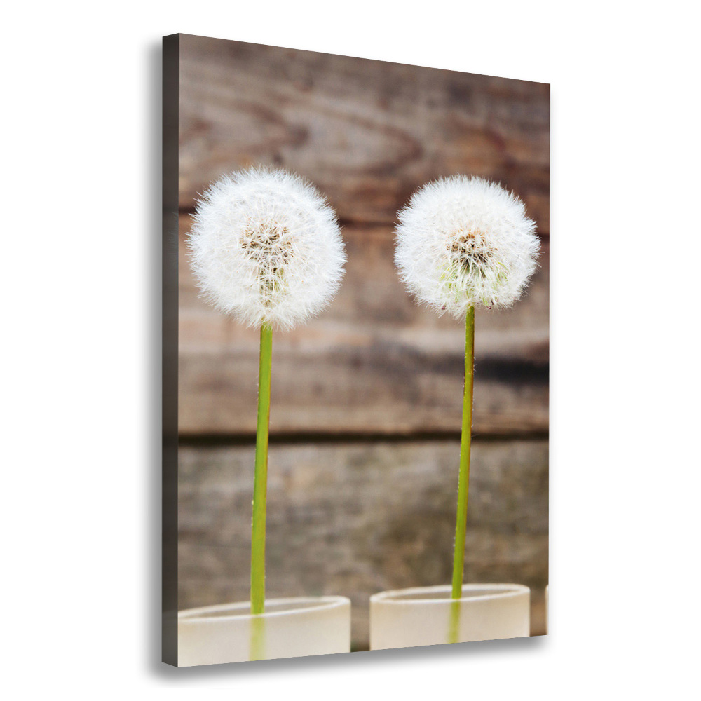 Canvas wall art dandelions