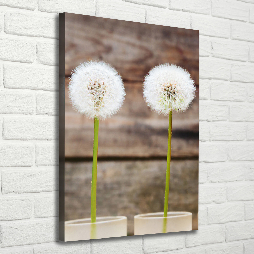 Canvas wall art dandelions