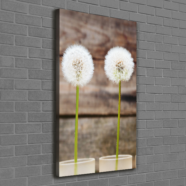 Canvas wall art dandelions