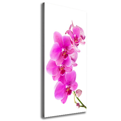 Canvas wall art Pink orchid