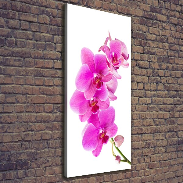 Canvas wall art Pink orchid