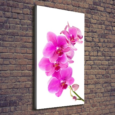 Canvas wall art Pink orchid