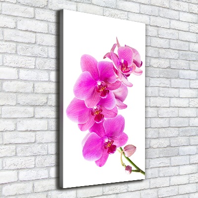 Canvas wall art Pink orchid