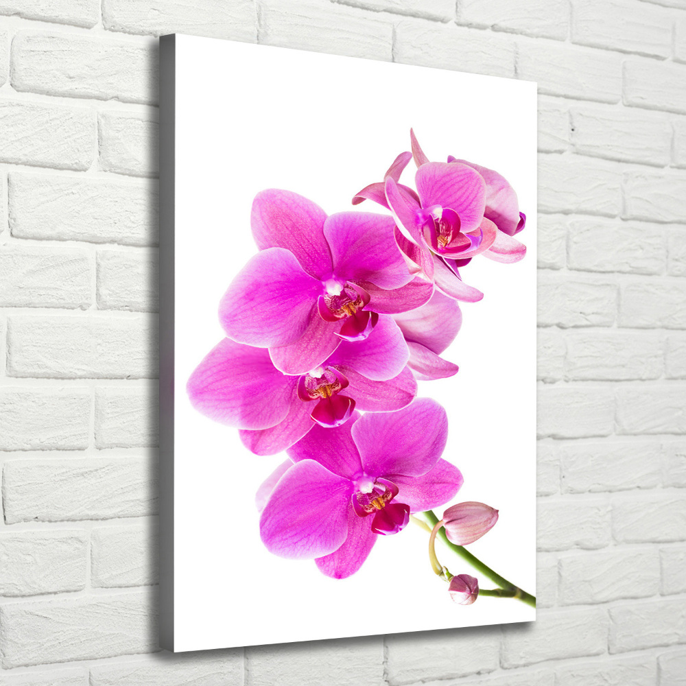 Canvas wall art Pink orchid