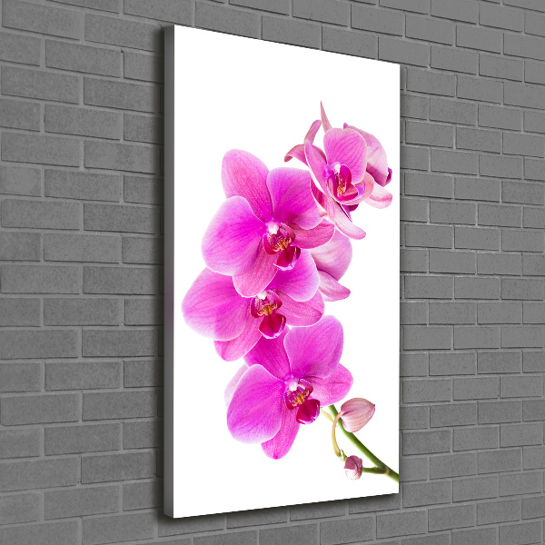 Canvas wall art Pink orchid