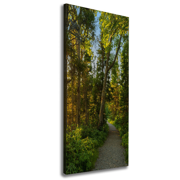 Wall art canvas large Path in the forest