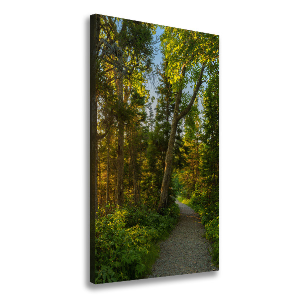 Wall art canvas large Path in the forest