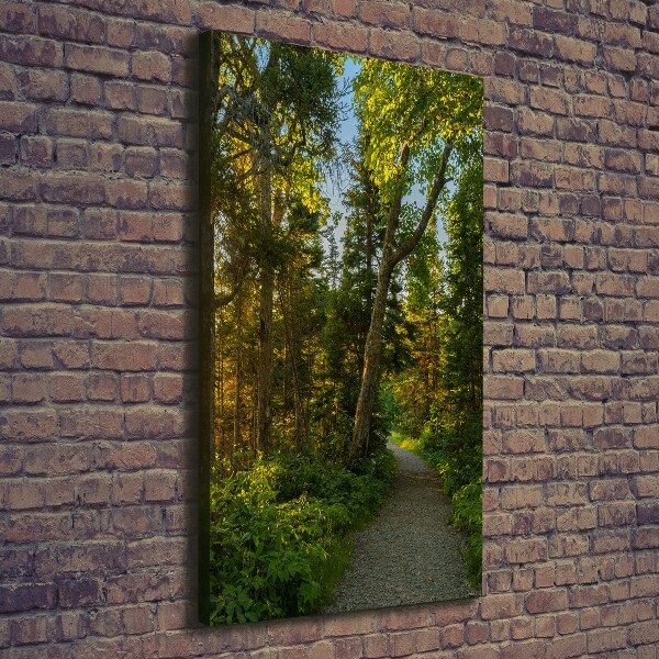 Wall art canvas large Path in the forest